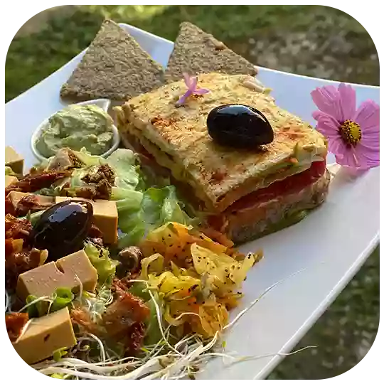 Restaurant Veggie vegan Nantes - TerraVega - meilleur restaurant NANTES